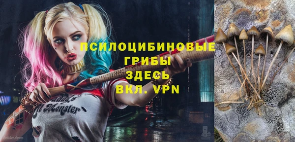 молекула духа Беломорск