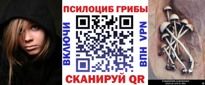 Купить закладки  Бежецк  Псилоцибиновые грибы мухоморы 